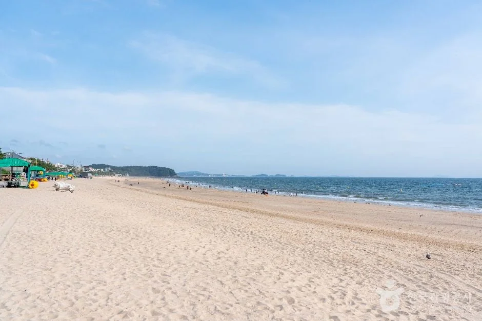 대천해수욕장 반려동물 동반 여행지