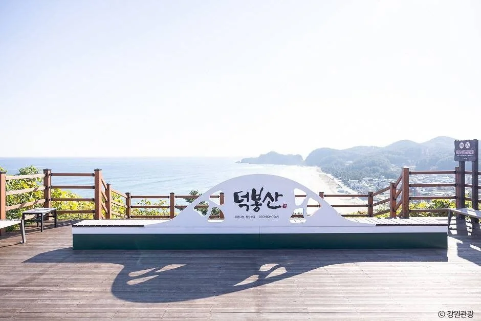 덕봉산 해안생태탐방로 삼척시 애견여행지