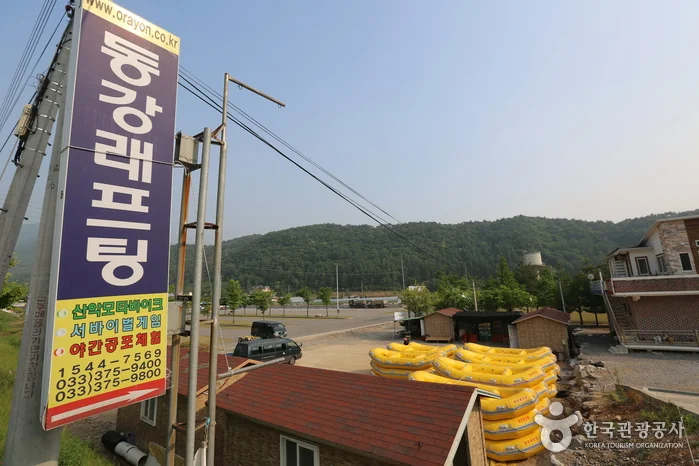 동강 래프팅(영월) 반려동물 동반 여행지