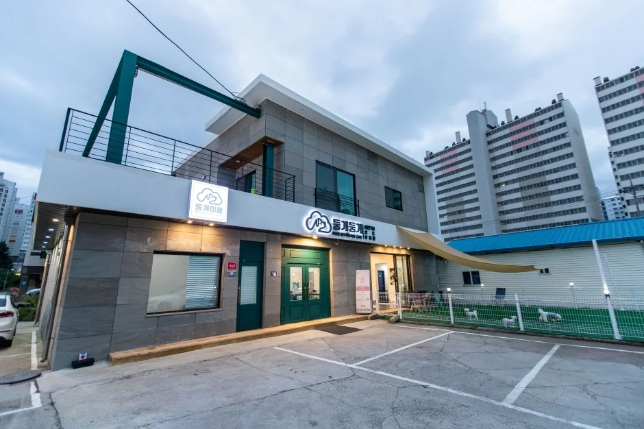 둥개둥개 속초시 애견맛집