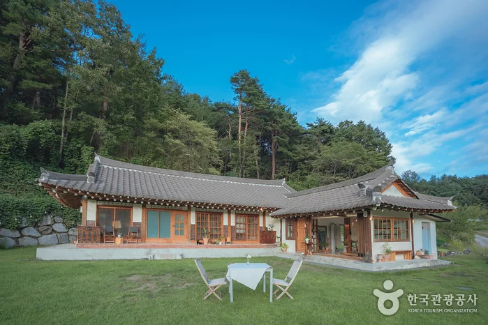 르꼬따쥬 반려동물 동반 여행지