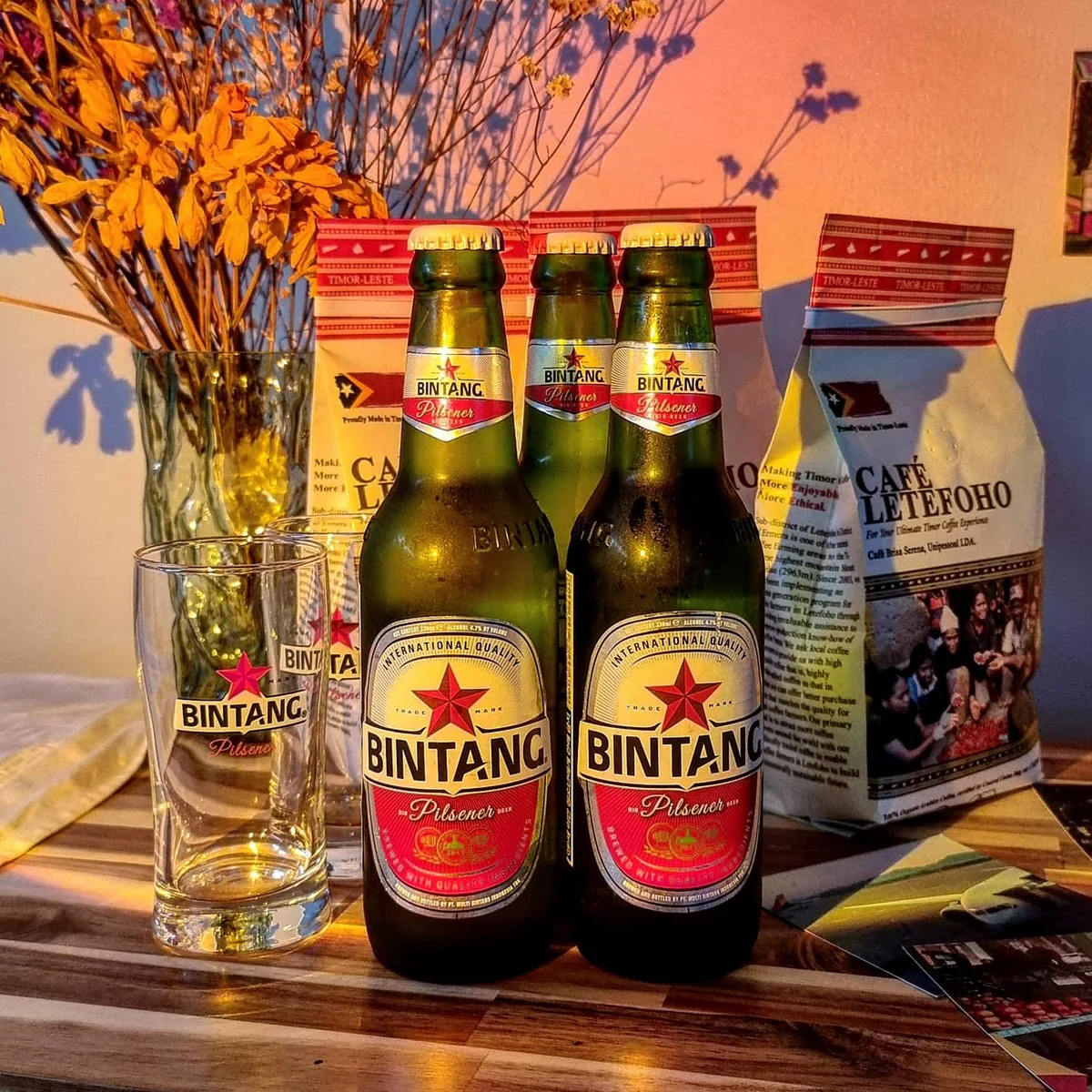 비케케선셋 청주성안길점 청주시 애견맛집