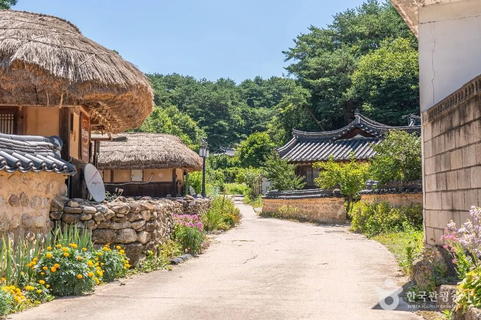 무섬마을 반려동물 동반 여행지