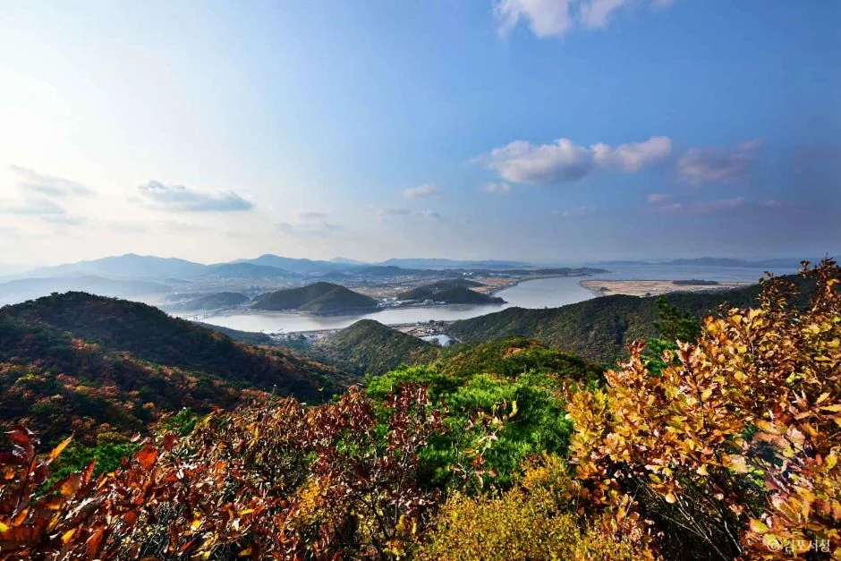 문수산 반려동물 동반 여행지