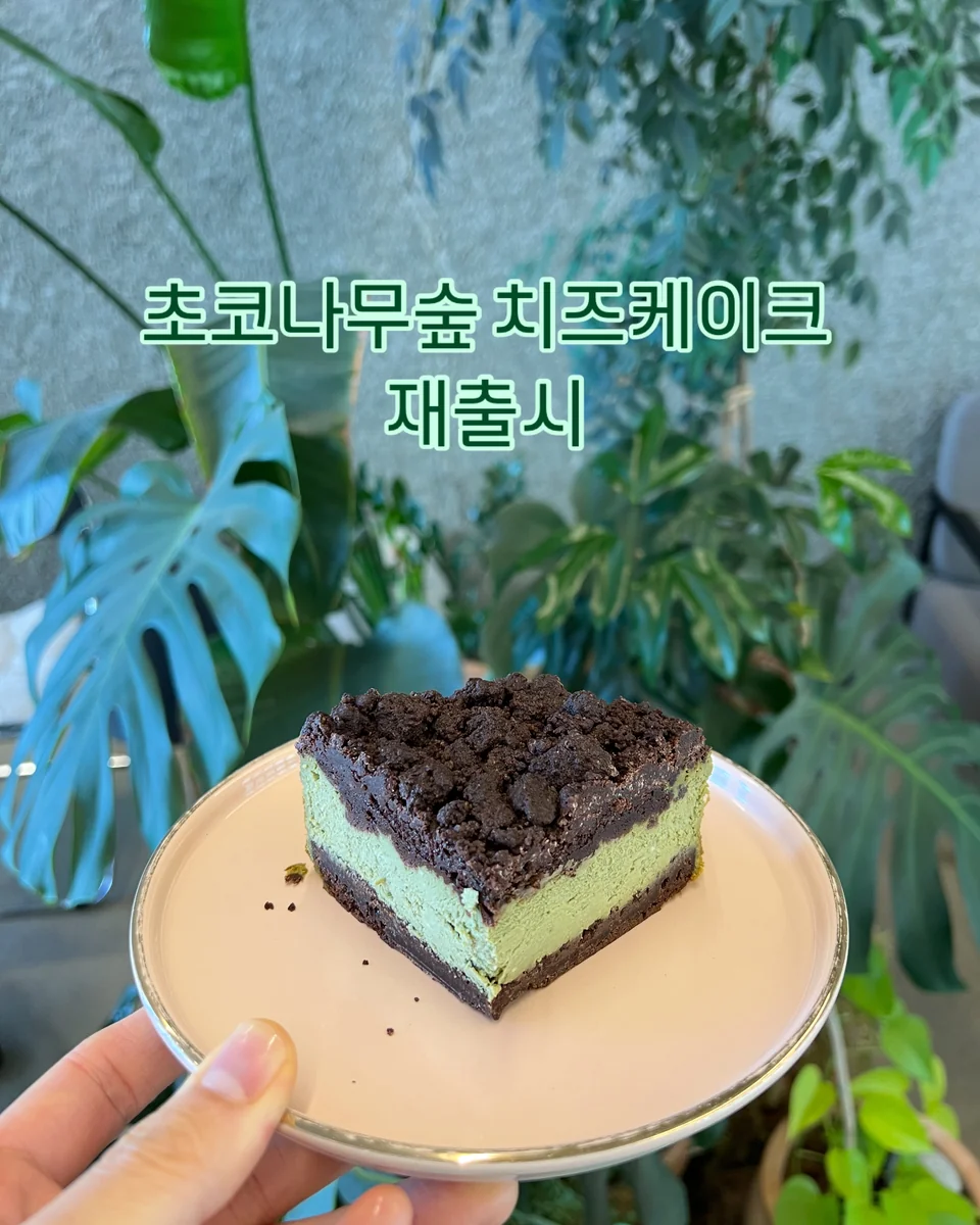 춘천로81 춘천시 애견카페