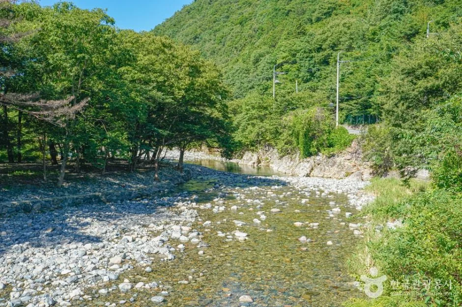 배내골 반려동물 동반 여행지