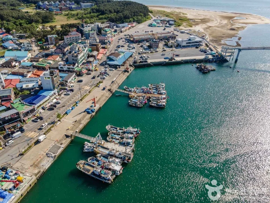 백사장항 반려동물 동반 여행지