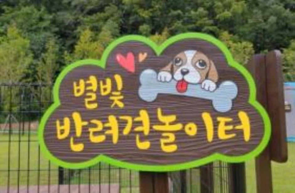 별빛반려견 놀이터 반려동물 동반 여행지