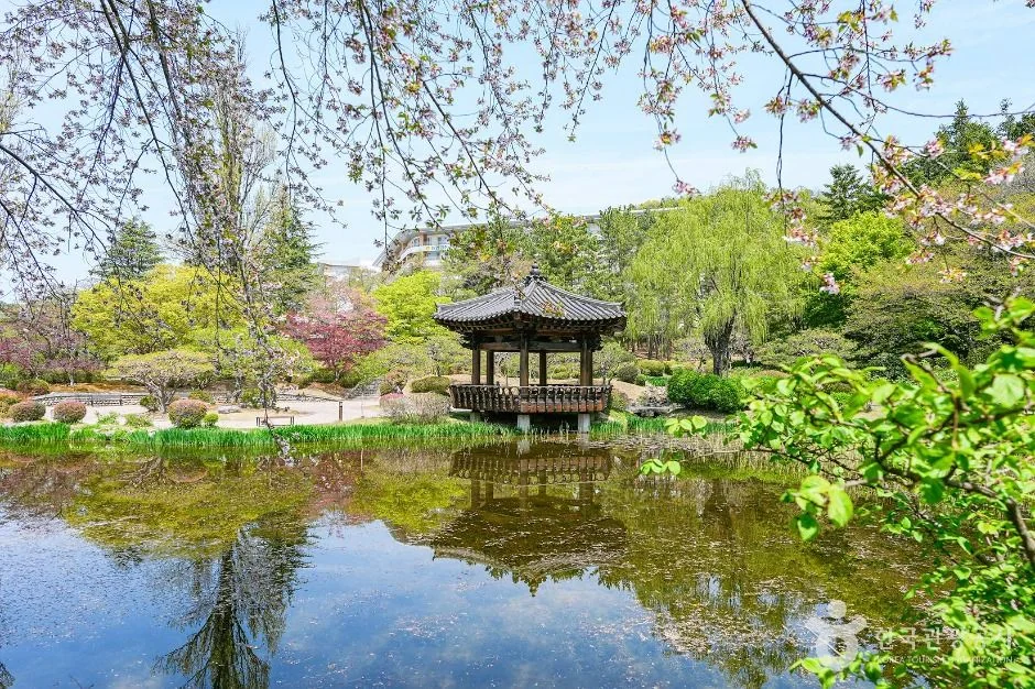 보문정(경주) 경주시 애견여행지