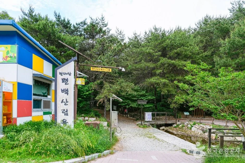 북구 편백산림욕장 반려동물 동반 여행지