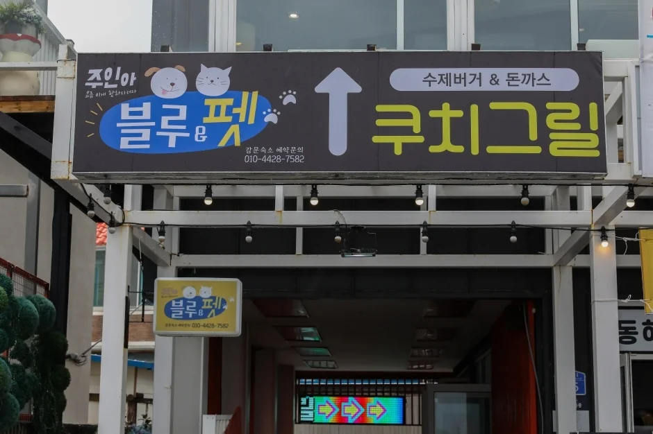 블루앤펫 강릉시 애견숙소