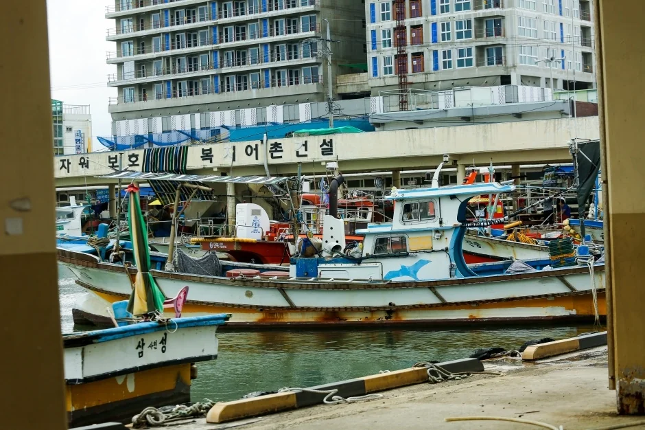사천진항 반려동물 동반 여행지