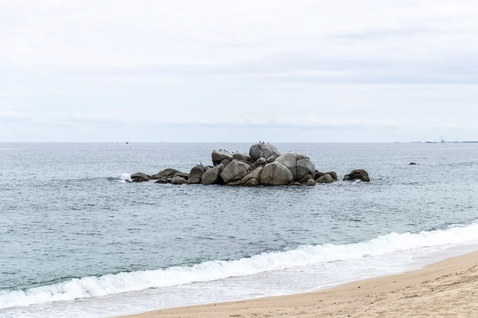사천해변(사천해수욕장) 반려동물 동반 여행지