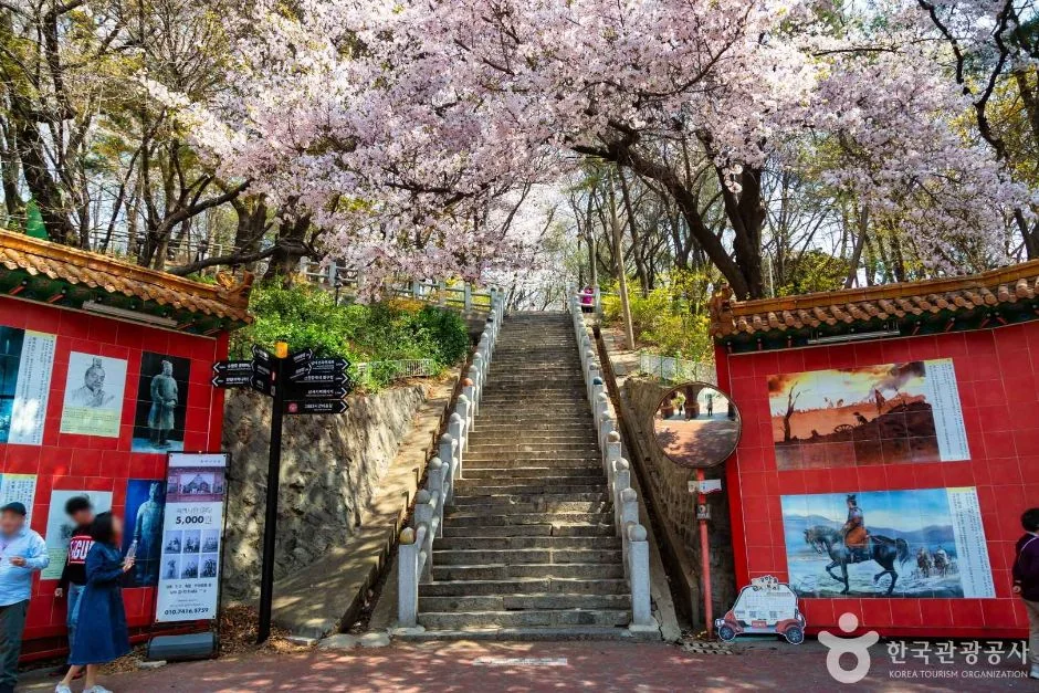 삼국지벽화거리 반려동물 동반 여행지