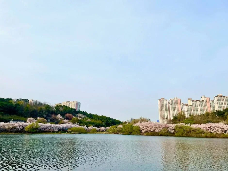 선암호수공원 반려동물 동반 여행지