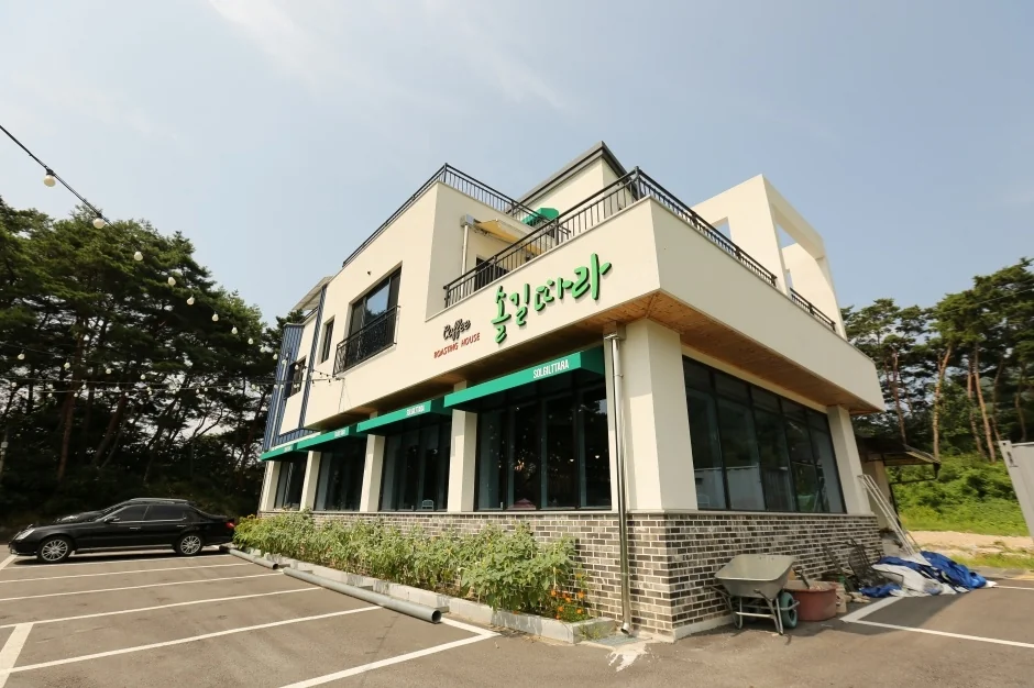 솔길따라 춘천시 애견맛집
