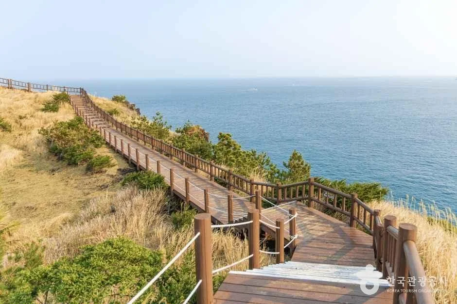 송악산둘레길 반려동물 동반 여행지