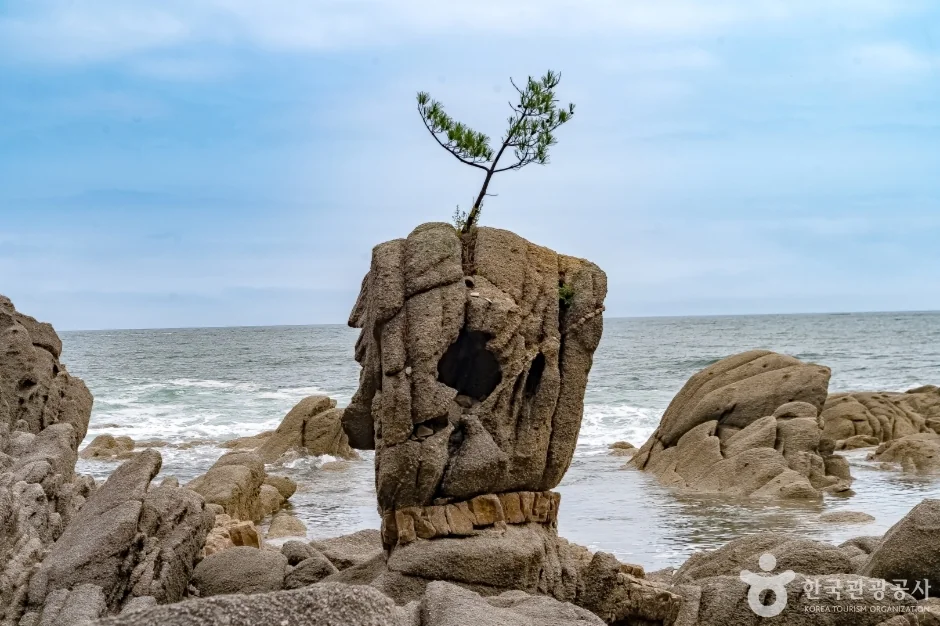 송지호해안 서낭바위 (강원평화지역 국가지질공원) 고성군 애견여행지