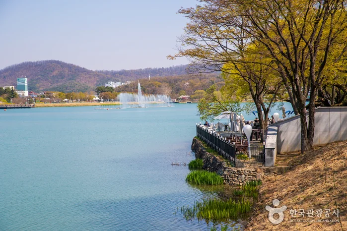 수성못 유원지 반려동물 동반 여행지