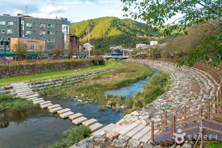 수안보온천 관광특구 반려동물 동반 여행지