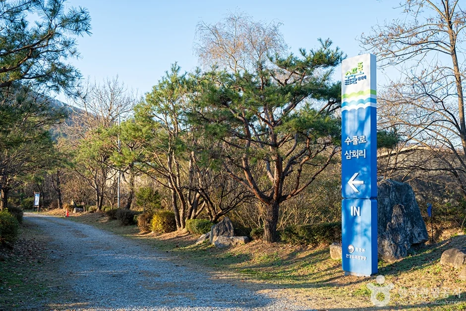 수풀로 삼회리 반려동물 동반 여행지