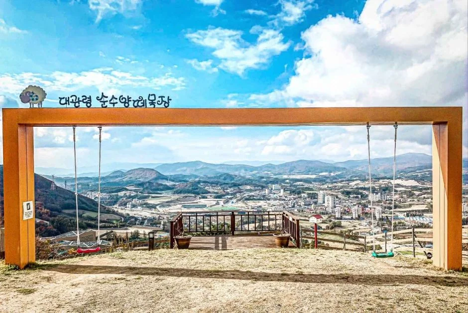 순수 양떼목장 평창군 애견여행지