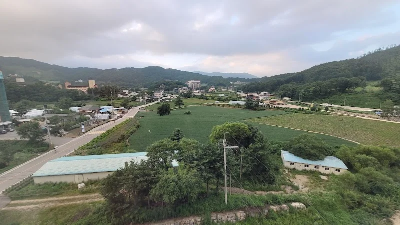 위드랜드 평창점 평창군 애견숙소
