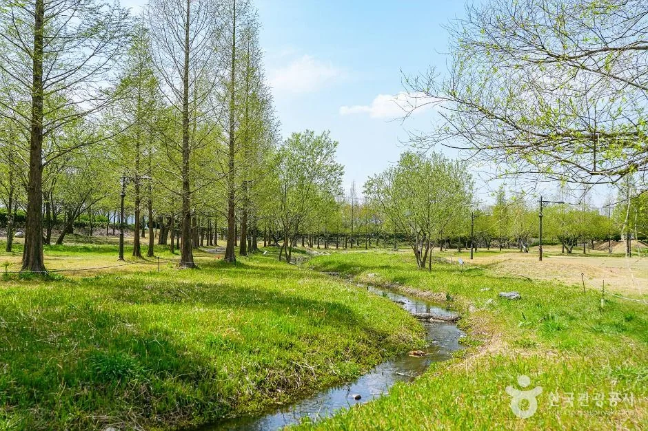 신라왕경숲 반려동물 동반 여행지