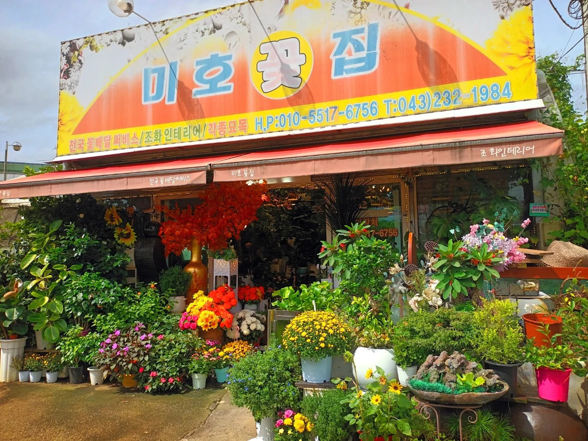 미호 포천시 애견여행지