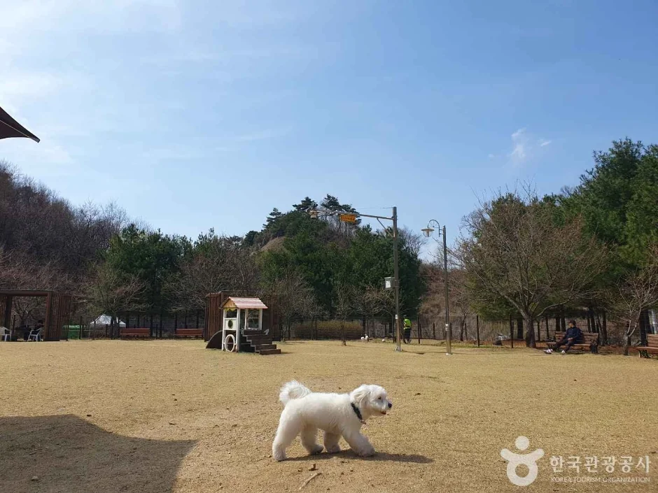 아름들 반려견쉼터 반려동물 동반 여행지