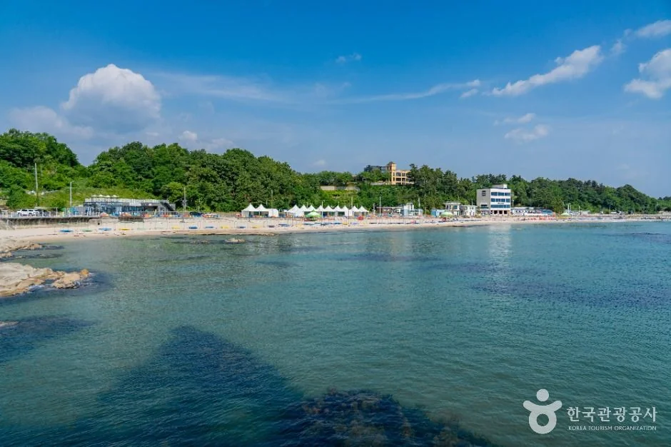 아야진해변 반려동물 동반 여행지