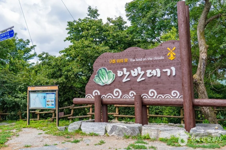 안반데기 반려동물 동반 여행지