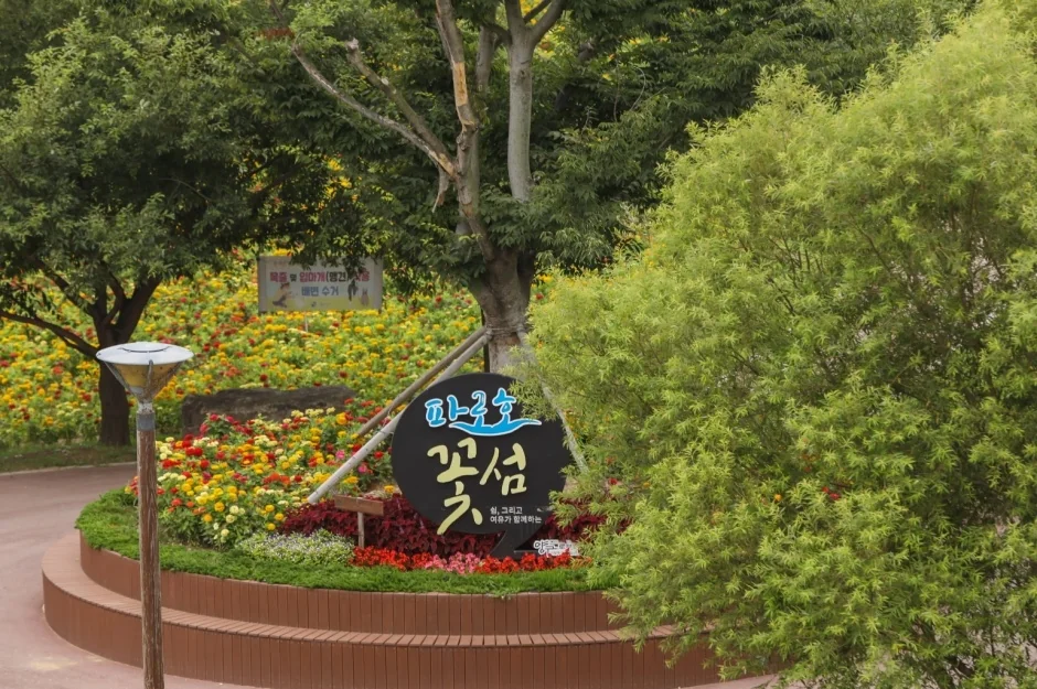 양구꽃섬 양구군 애견여행지