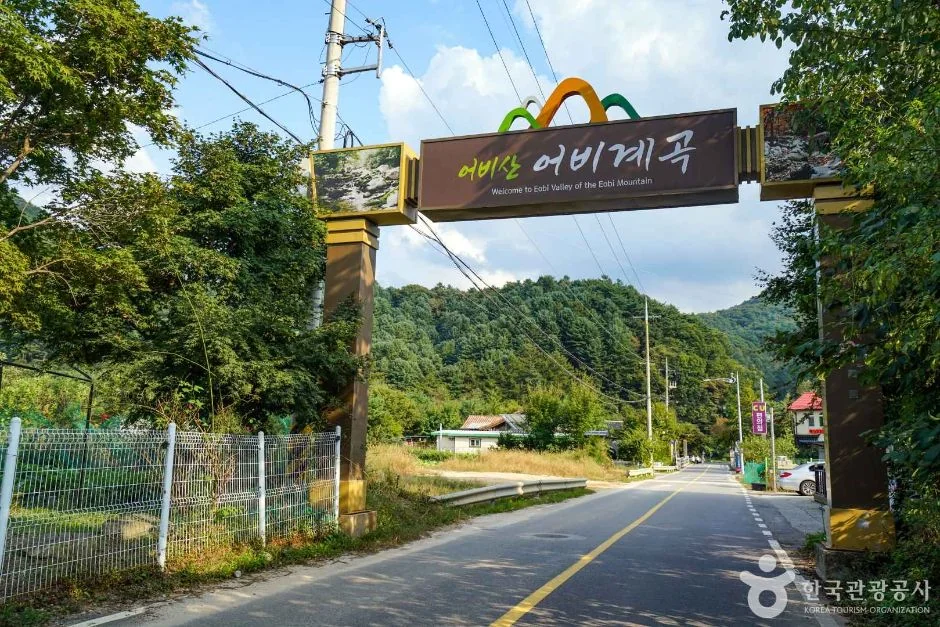 어비계곡 반려동물 동반 여행지