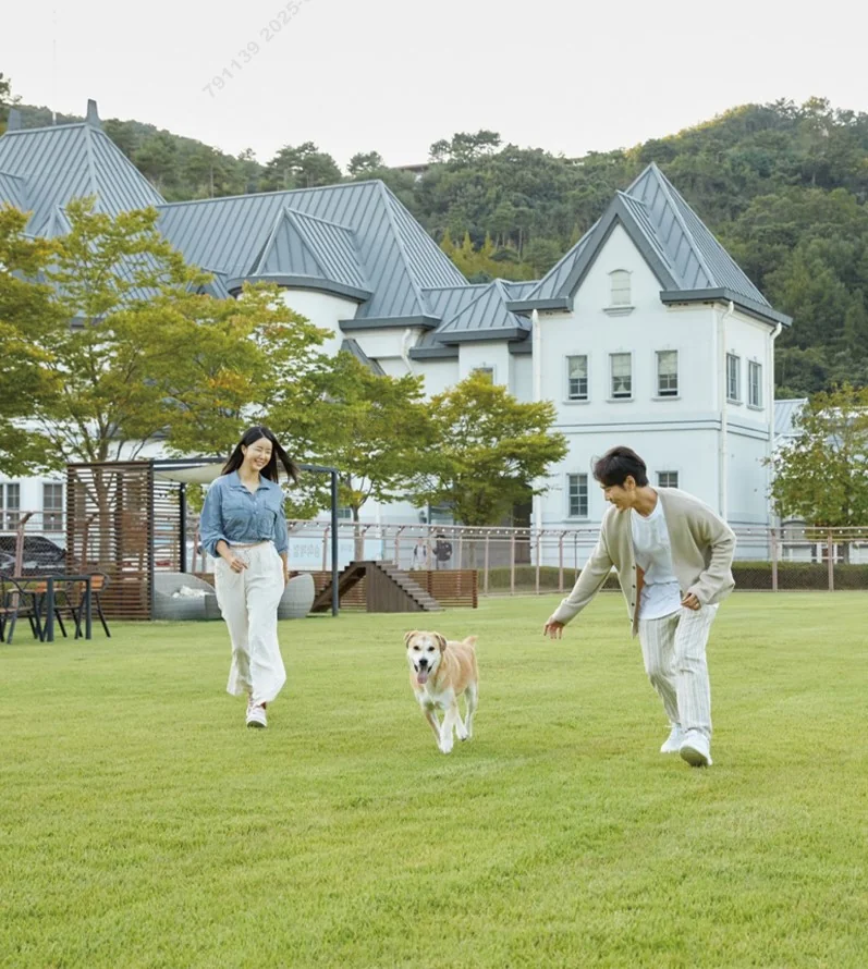 소노펫클럽앤리조트 비발디파크 홍천군 애견숙소