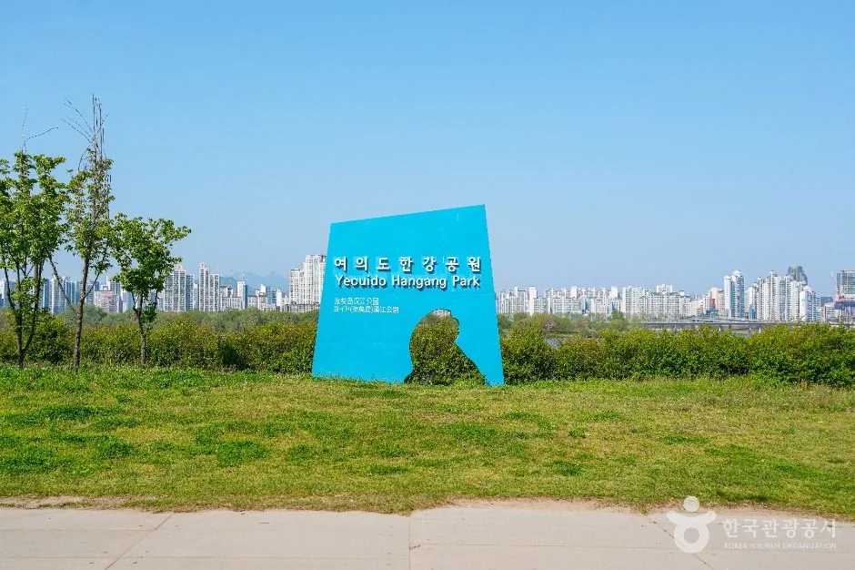 여의도한강공원 반려동물 동반 여행지