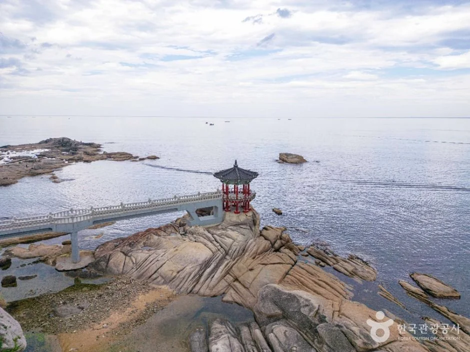 영금정 반려동물 동반 여행지