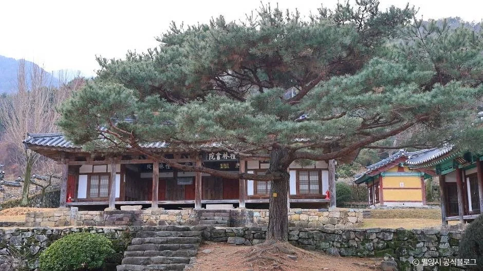 예림서원 반려동물 동반 여행지
