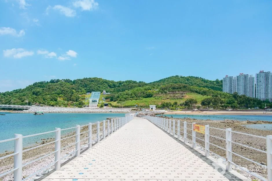 예술의 섬 장도 반려동물 동반 여행지