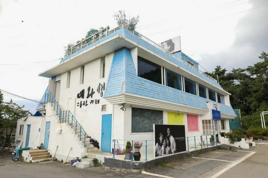 예와생스튜디오카페 춘천시 애견카페