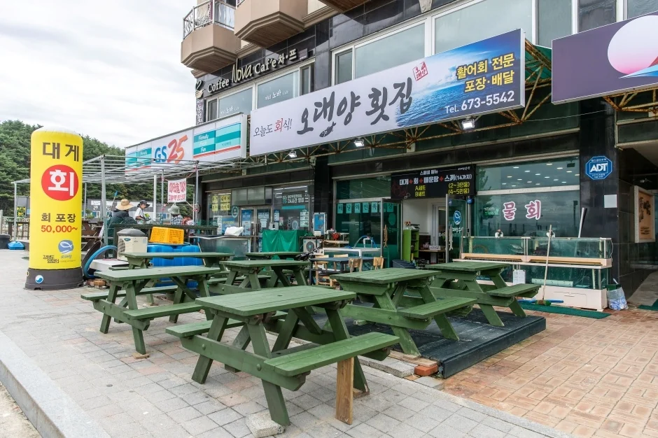 오대양수산 양양군 애견맛집