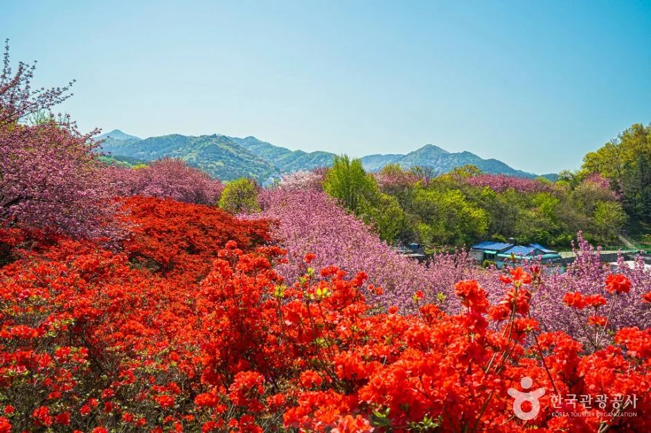 완산공원 반려동물 동반 여행지
