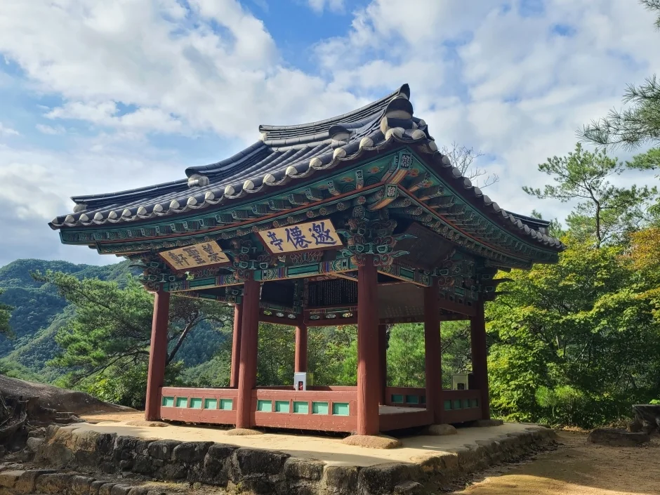 요선정·요선암 영월군 애견여행지