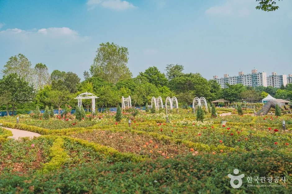 용산가족공원 반려동물 동반 여행지