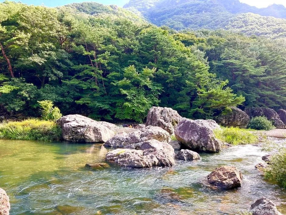 운일암 반일암 계곡 반려동물 동반 여행지