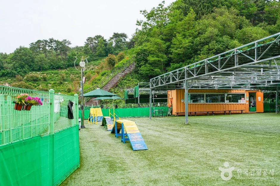 울산애견공원 반려동물 동반 여행지