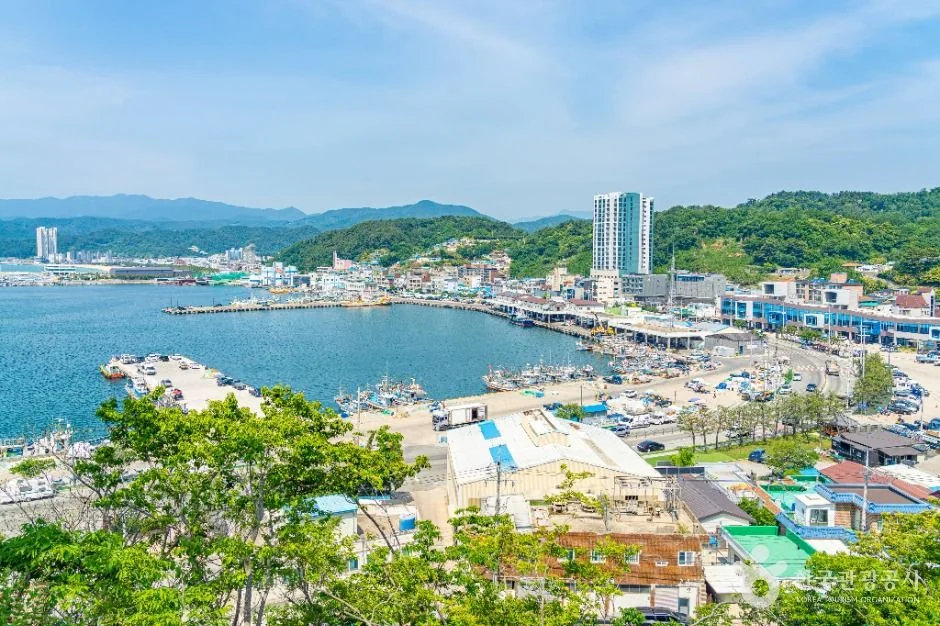 울진 후포항 반려동물 동반 여행지