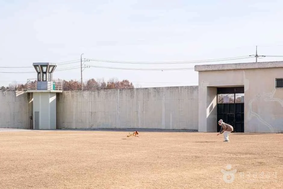 익산교도소세트장 익산시 애견여행지
