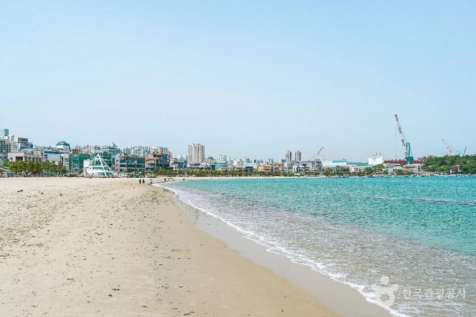일산해수욕장(울산) 반려동물 동반 여행지