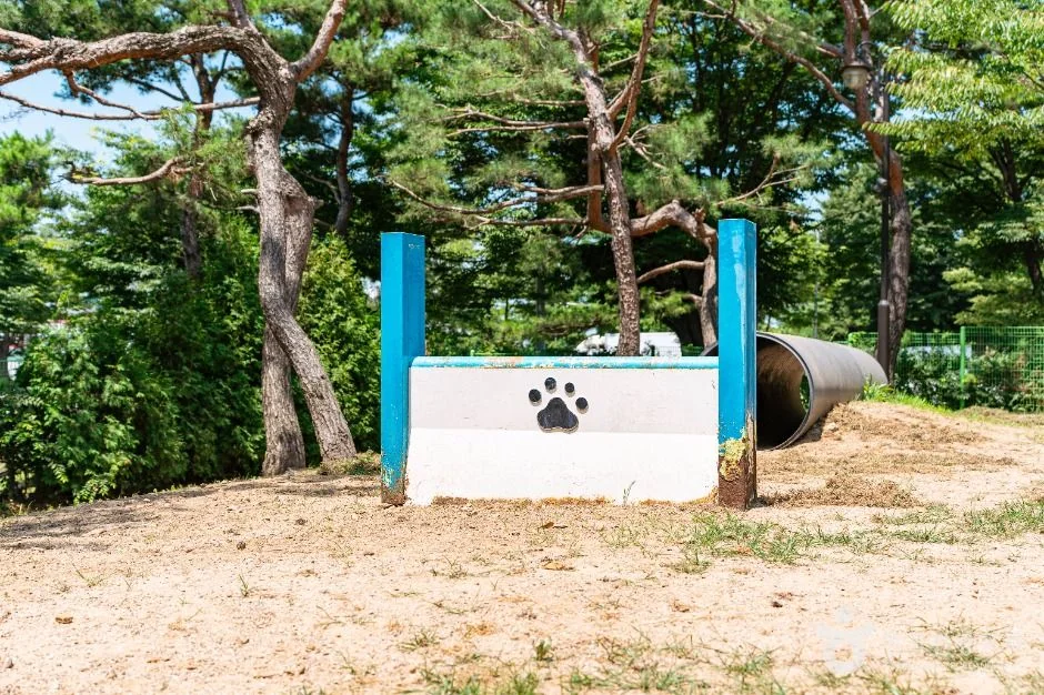일산호수공원 반려견놀이터 반려동물 동반 여행지